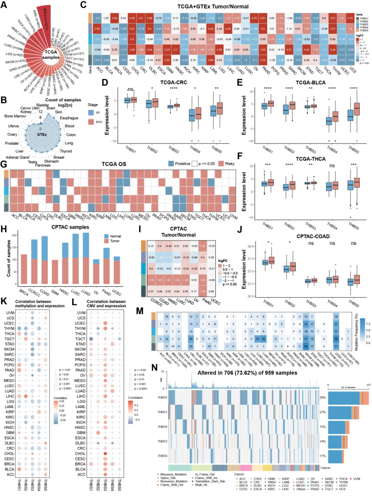 PMC11681647 – Fig1