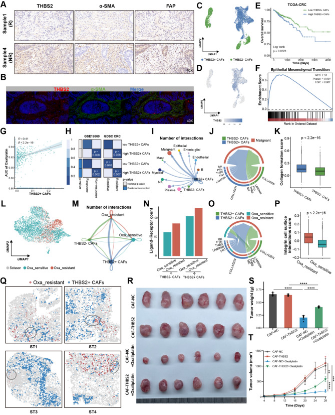 PMC11681647 – Fig3