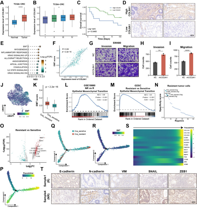 PMC11681647 – Fig5