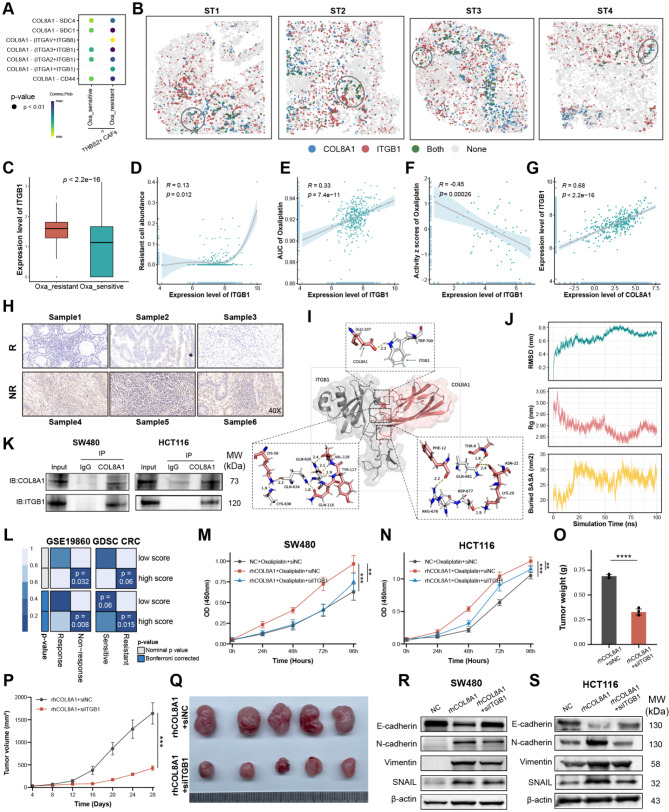 PMC11681647 – Fig6