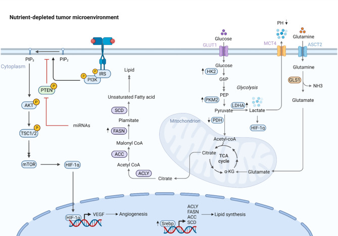 PMC12333312 – Fig3