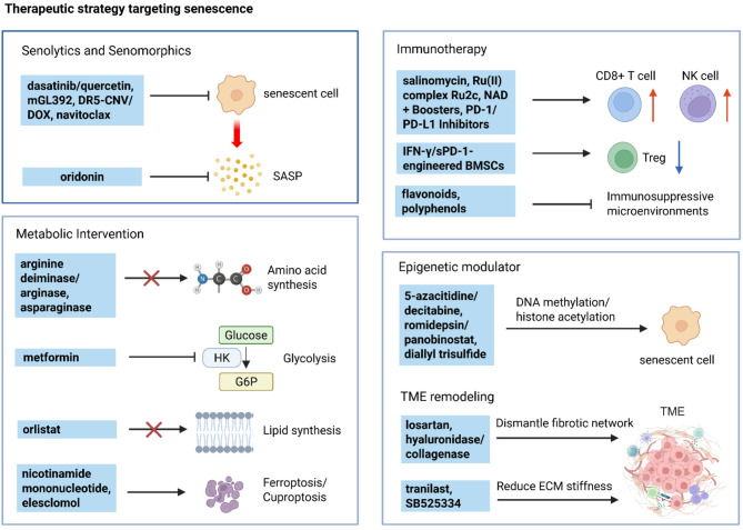 PMC12333312 – Fig6