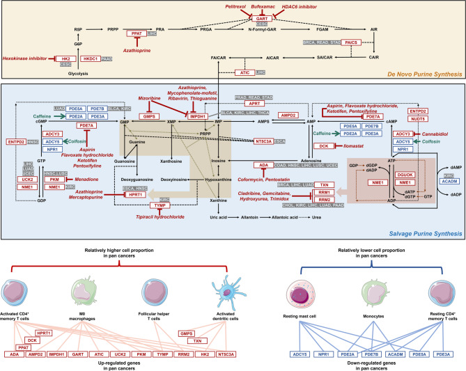 PMC12522462 – Fig5