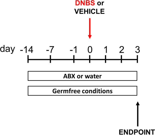 PMC10186685 – Fig1