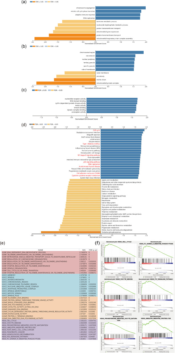 PMC9202173 – Fig6