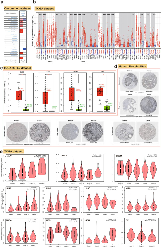 PMC10010046 – Fig1