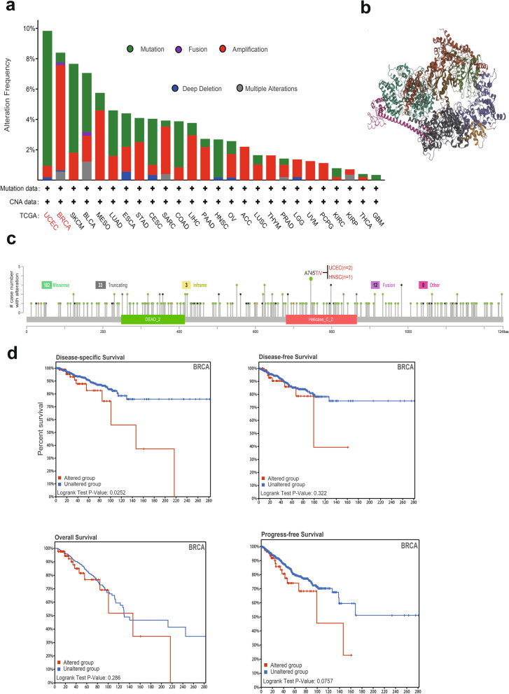 PMC10010046 – Fig4