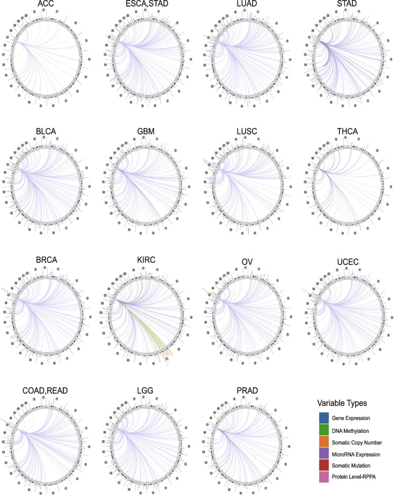 PMC10010046 – Fig6
