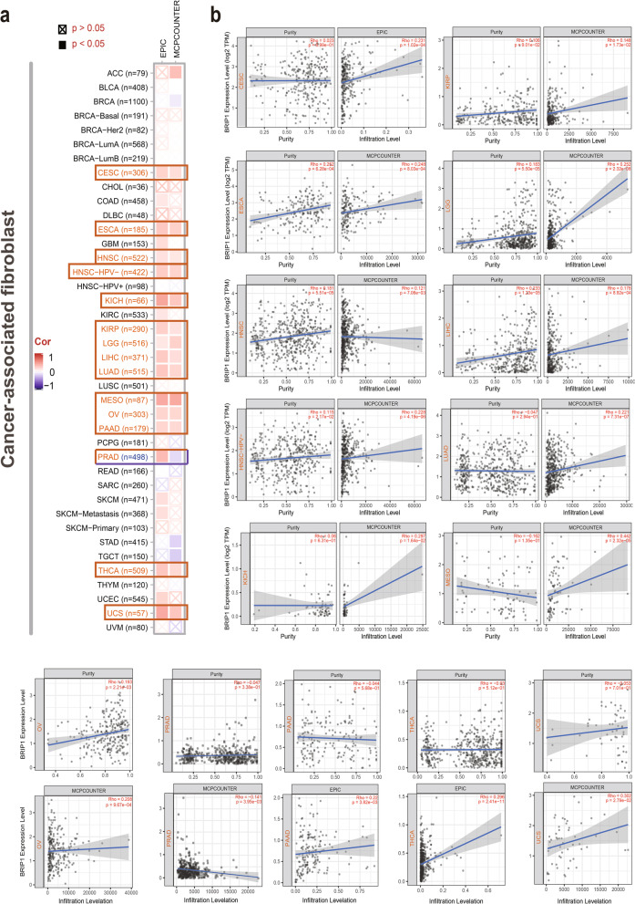 PMC10010046 – Fig7