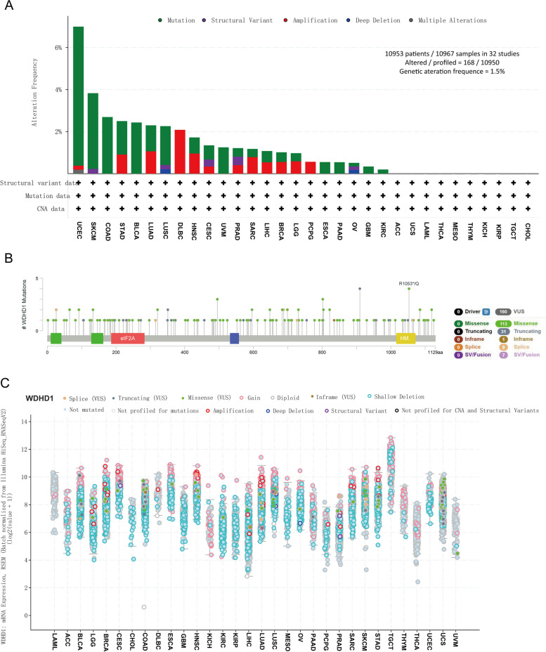 PMC10523704 – Fig10