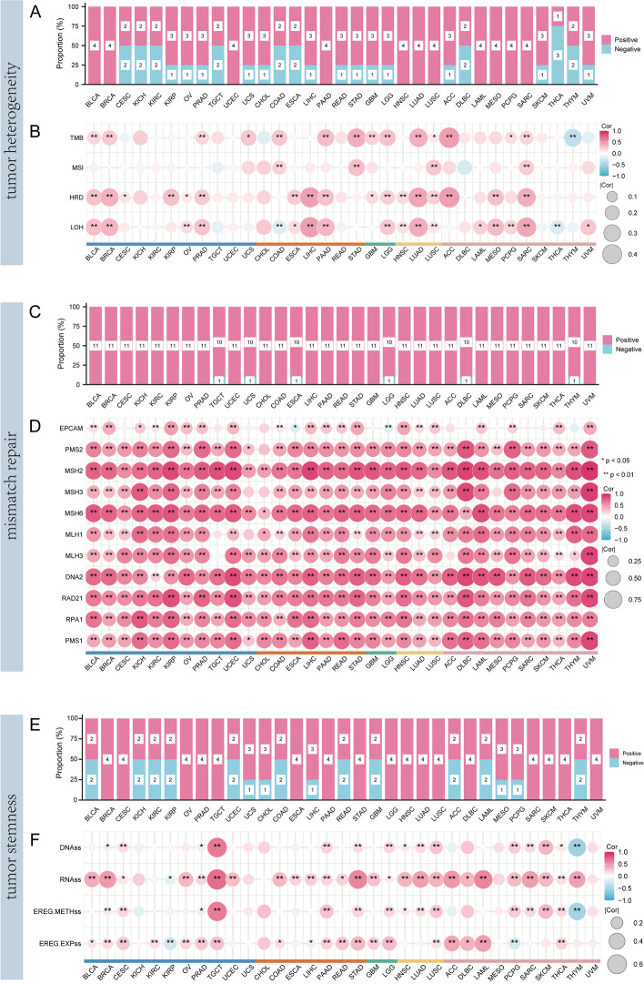 PMC10523704 – Fig11
