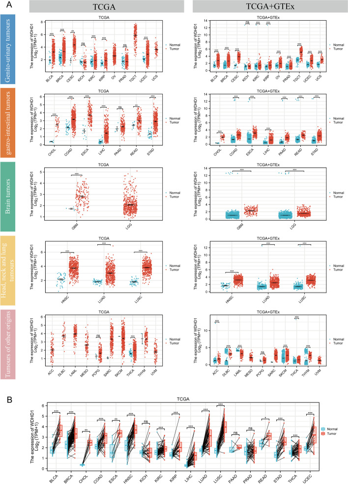 PMC10523704 – Fig1
