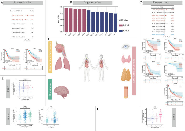 PMC10523704 – Fig4