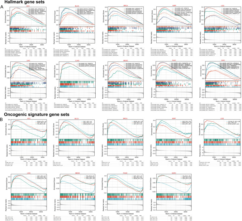 PMC10523704 – Fig6