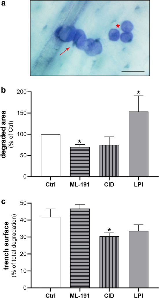 PMC8073907 – Fig11