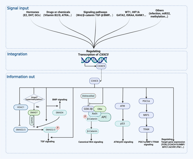 PMC11730785 – Fig2