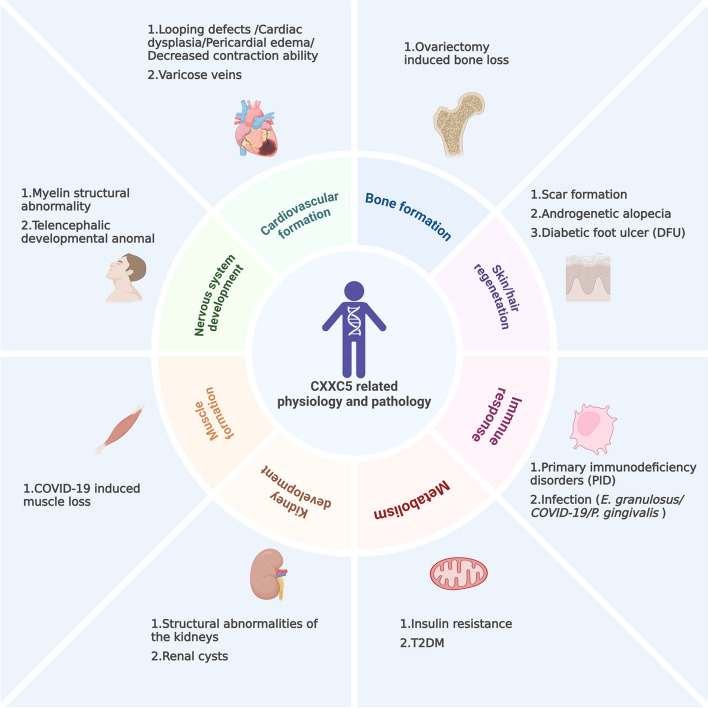 PMC11730785 – Fig3