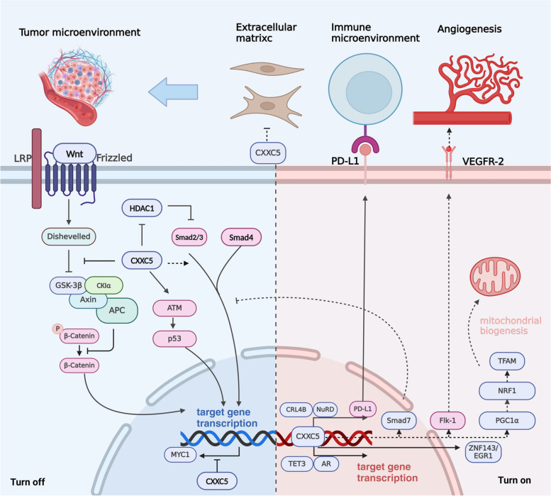 PMC11730785 – Fig4