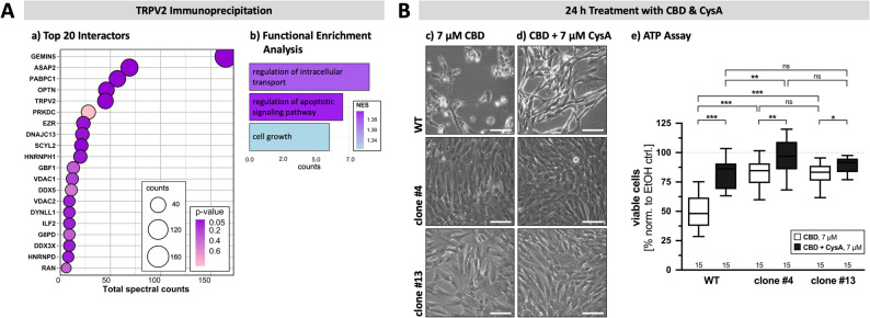 PMC12930786 – Fig6