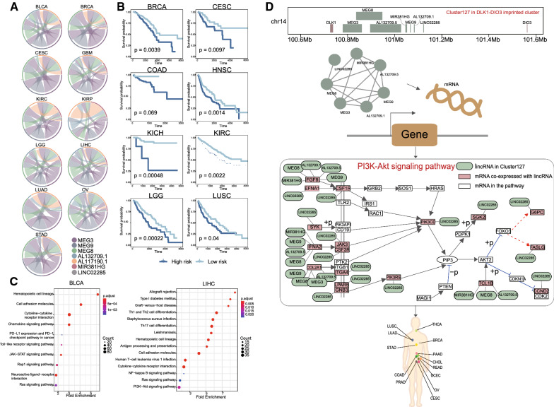 PMC8672572 – Fig6