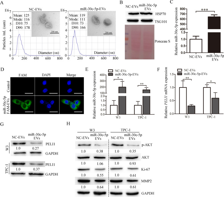 PMC8740468 – Fig6