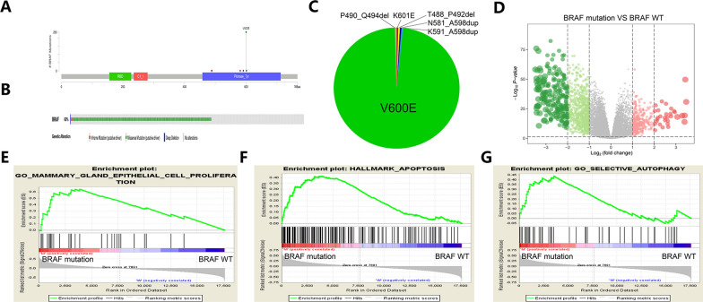 PMC8818187 – Fig1