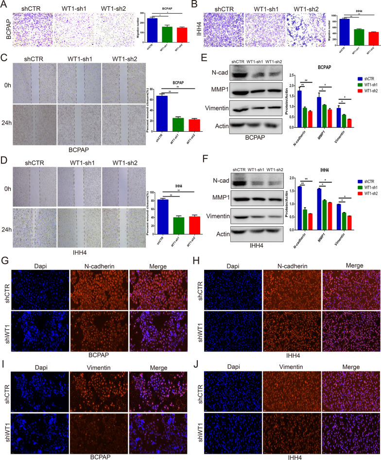 PMC8818187 – Fig4