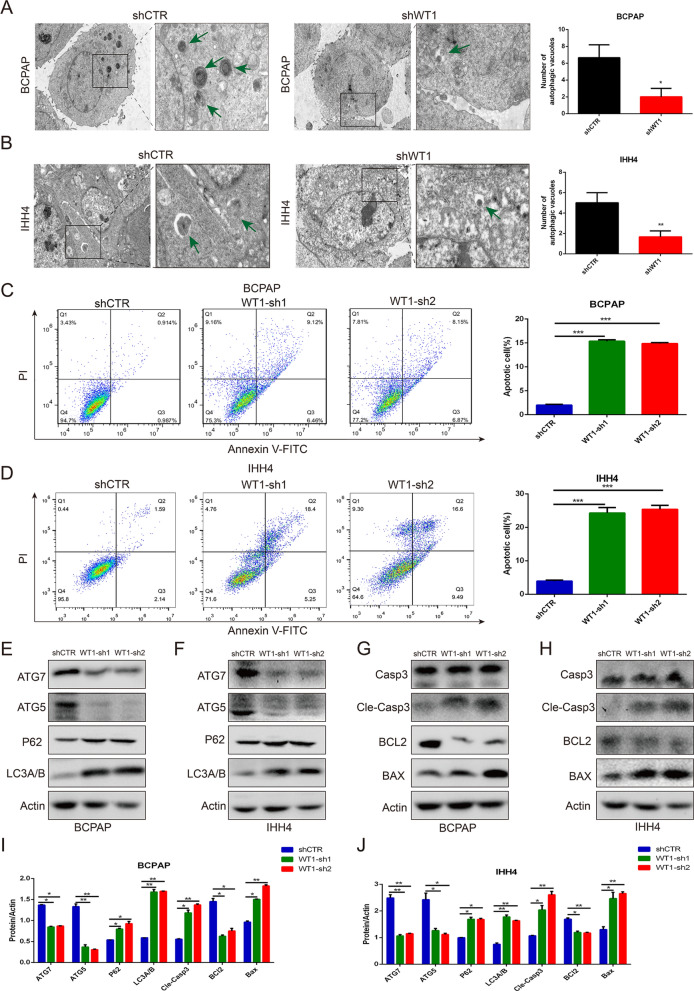 PMC8818187 – Fig5