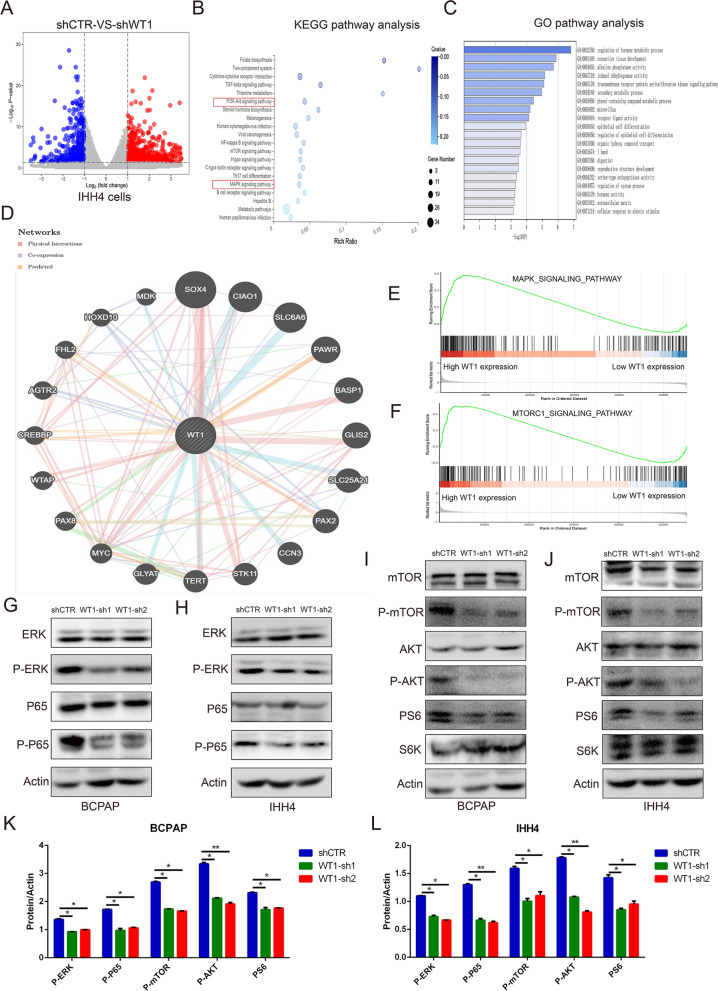 PMC8818187 – Fig6