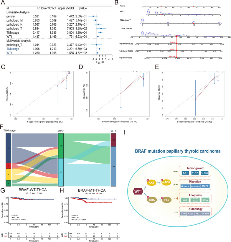 PMC8818187 – Fig8