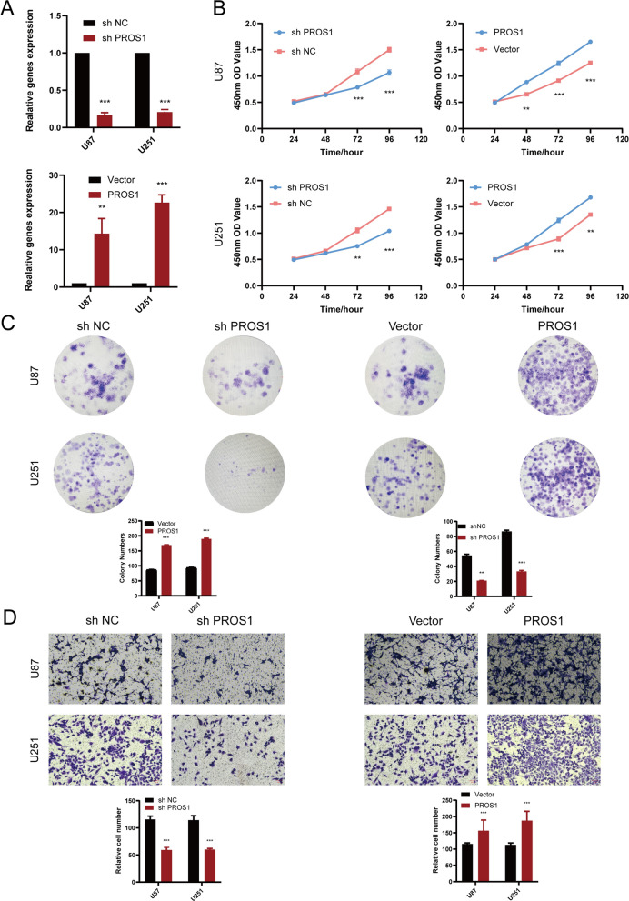 PMC9310492 – Fig10