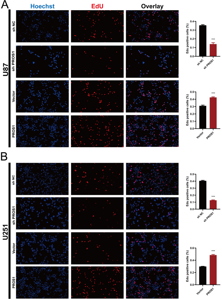 PMC9310492 – Fig11