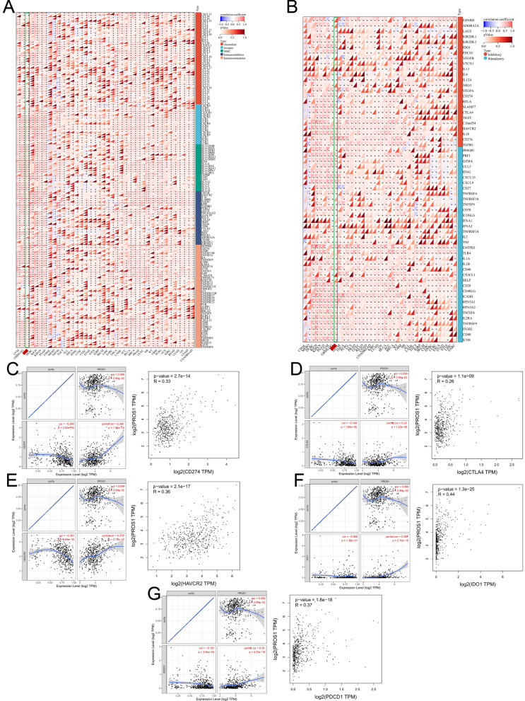PMC9310492 – Fig13