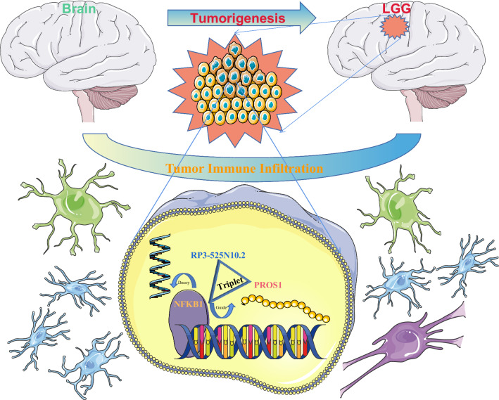 PMC9310492 – Fig15