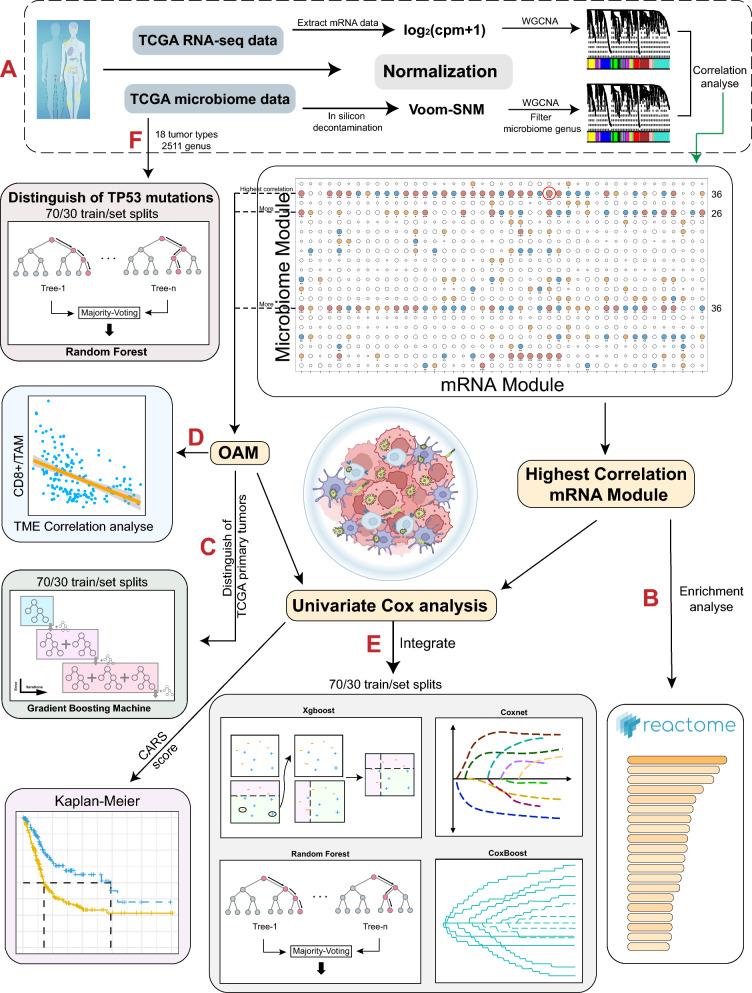 PMC10422781 – Fig1