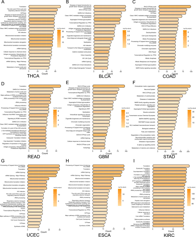 PMC10422781 – Fig3