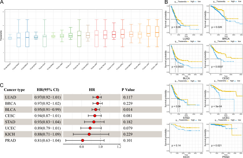 PMC10422781 – Fig7