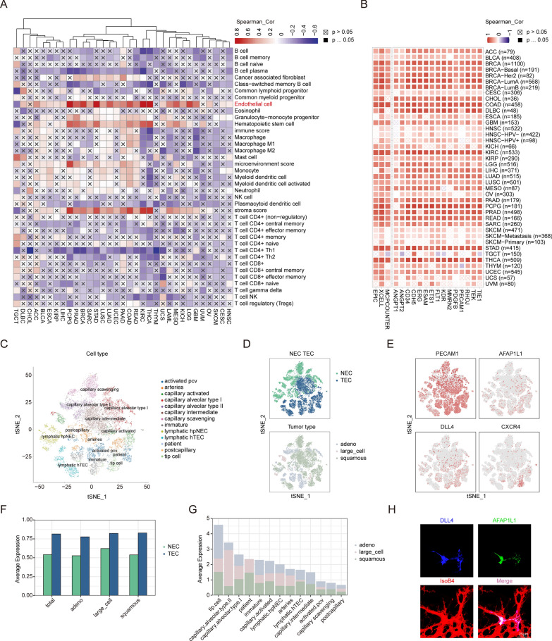 PMC10515434 – Fig4