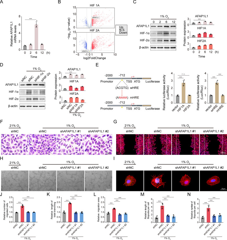 PMC10515434 – Fig8