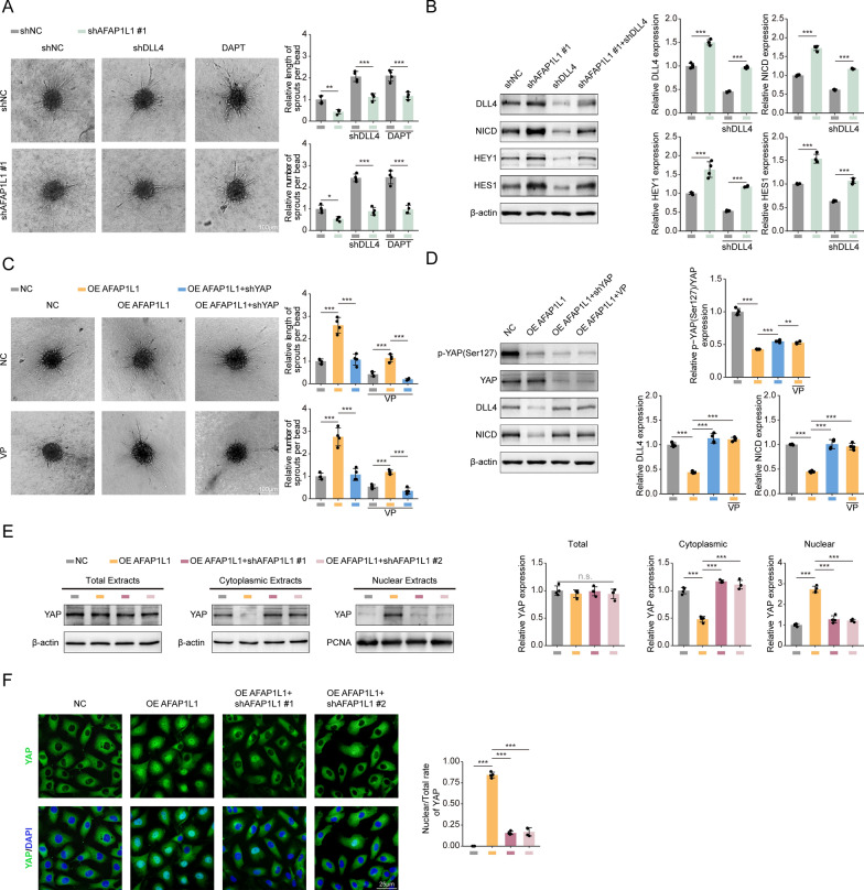 PMC10515434 – Fig9