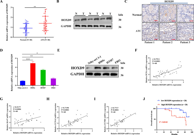 PMC10652604 – Fig1