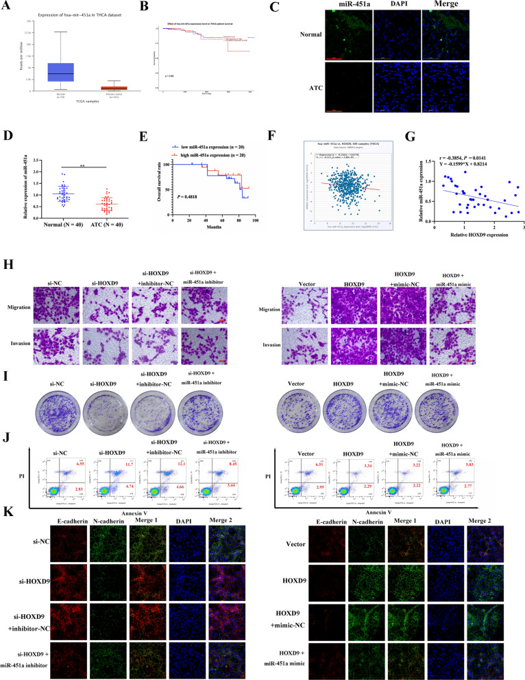 PMC10652604 – Fig4