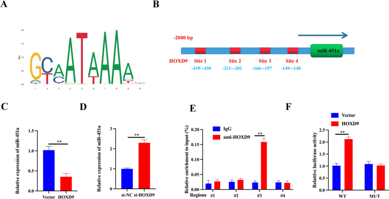 PMC10652604 – Fig5