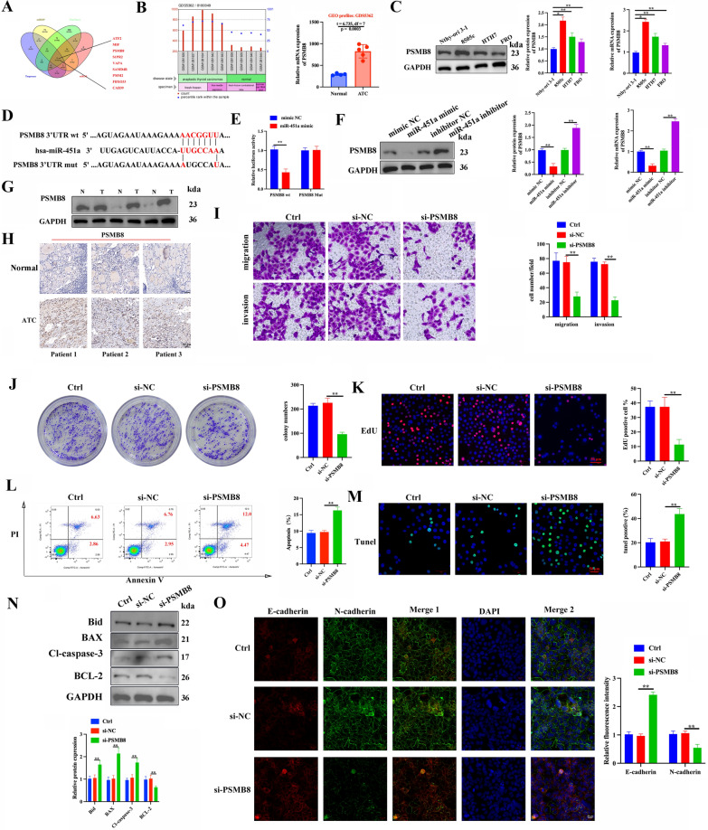 PMC10652604 – Fig6