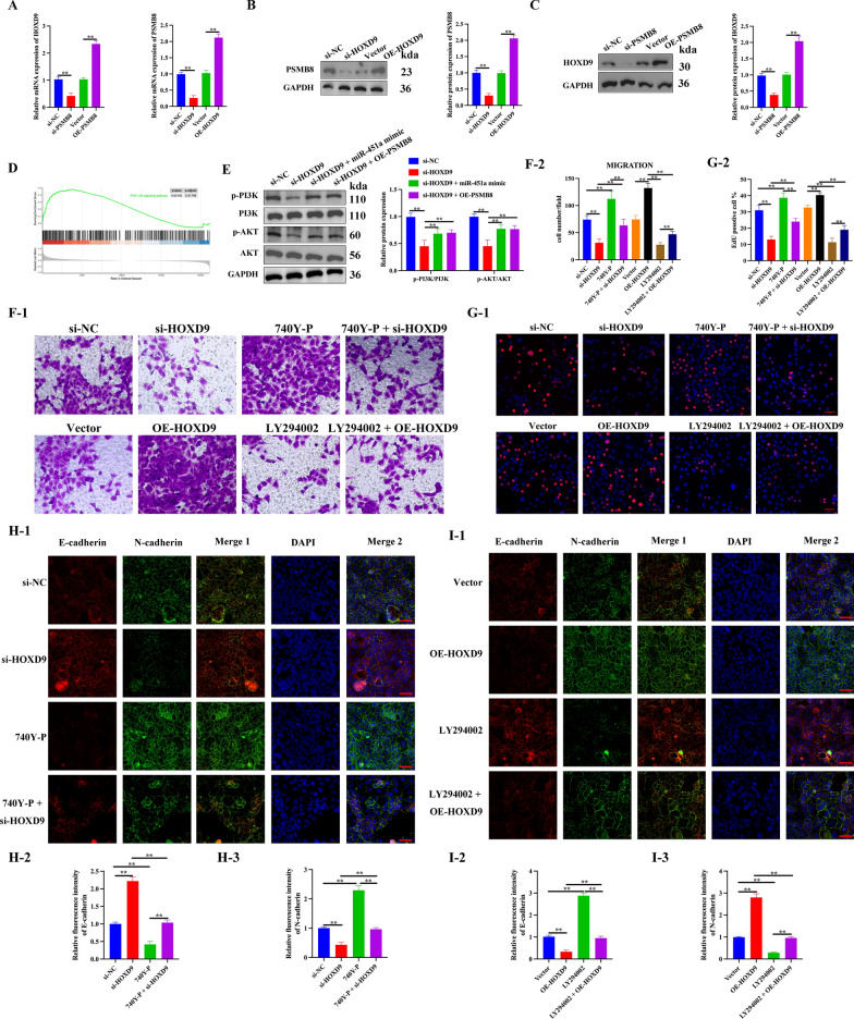 PMC10652604 – Fig7