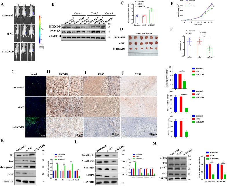 PMC10652604 – Fig8