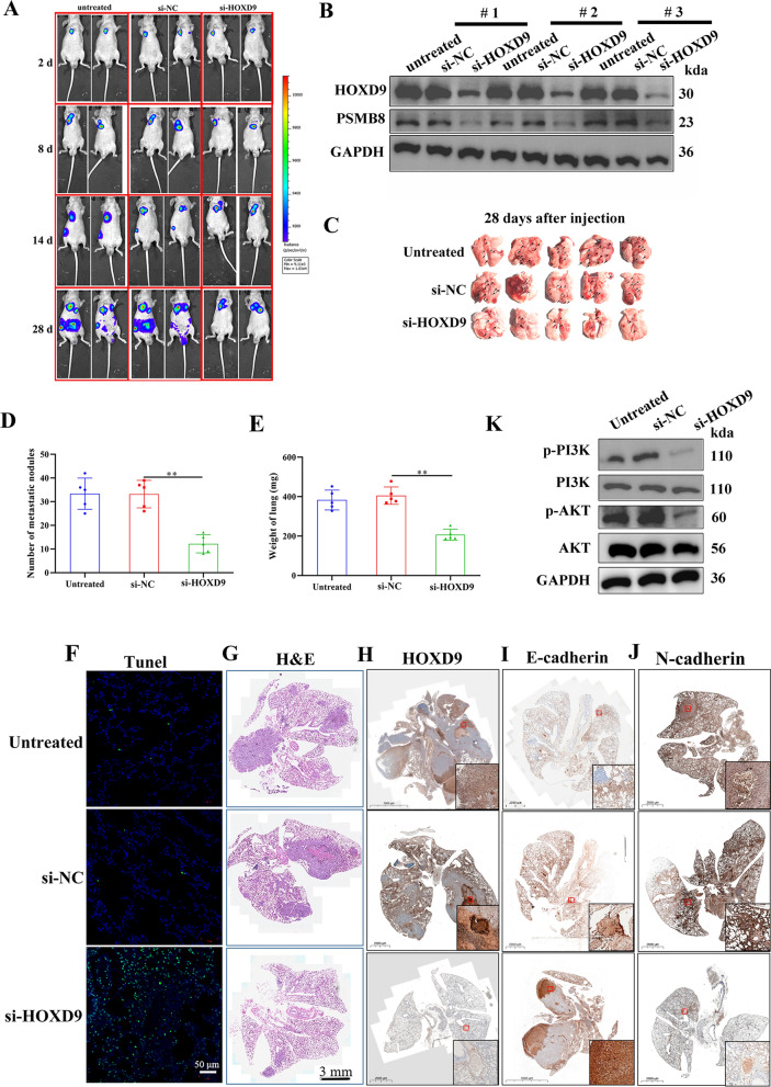 PMC10652604 – Fig9
