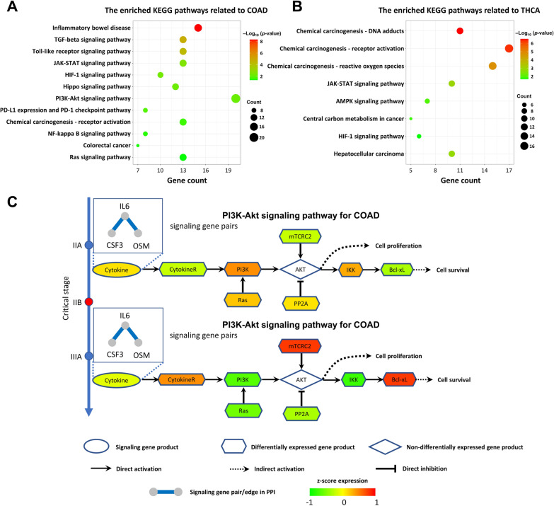 PMC10996174 – Fig6