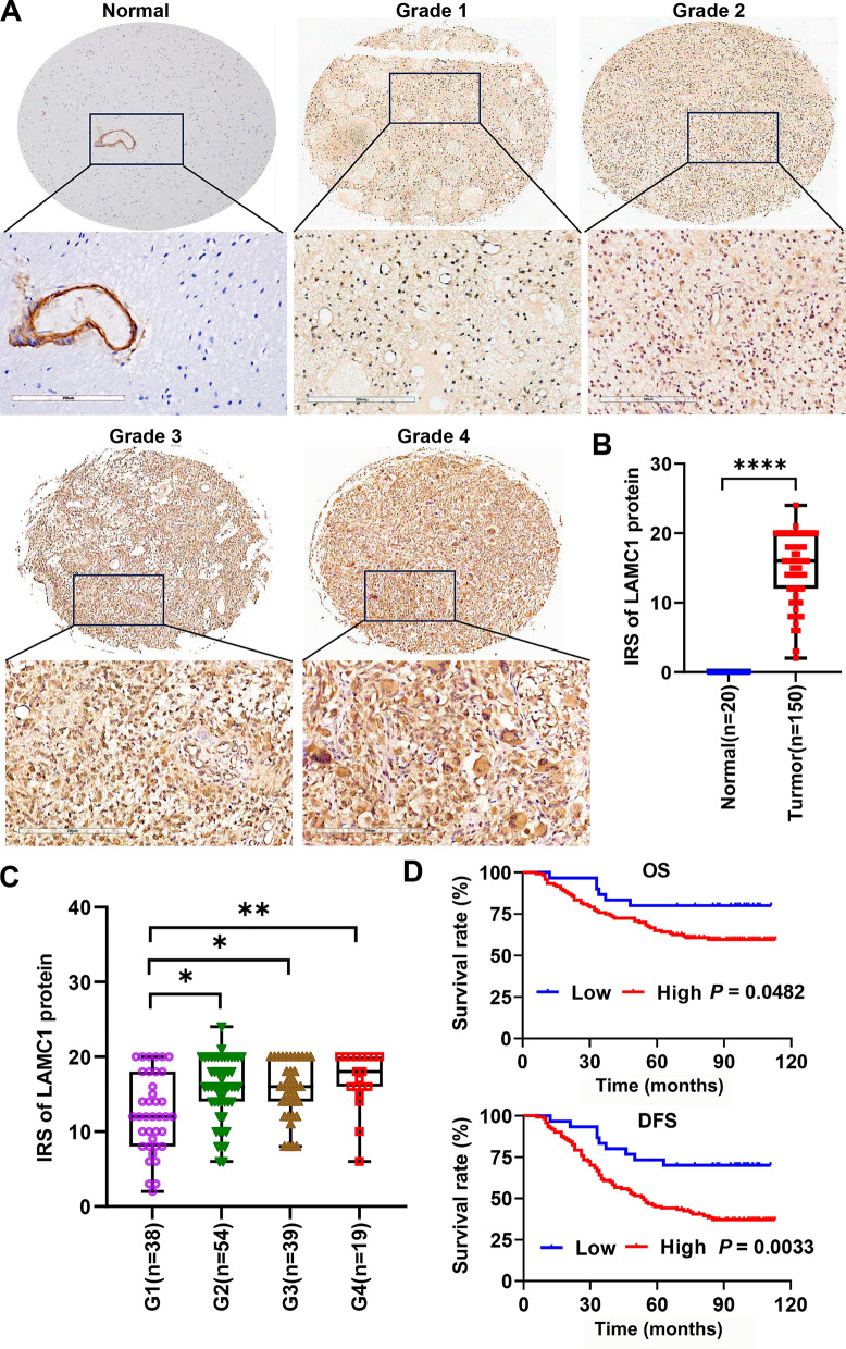 PMC11056071 – Fig6