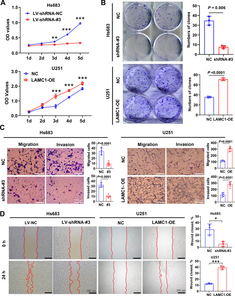 PMC11056071 – Fig7